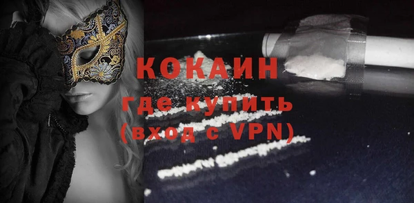 индика Абинск