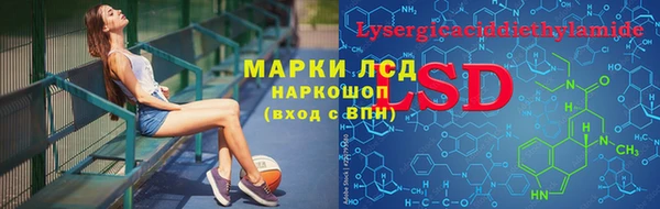 индика Абинск