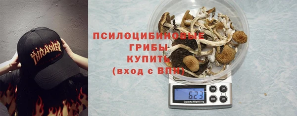 индика Абинск