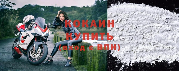 стаф Абаза