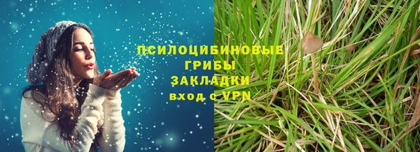 стаф Абаза