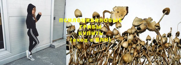 соль ск Абдулино