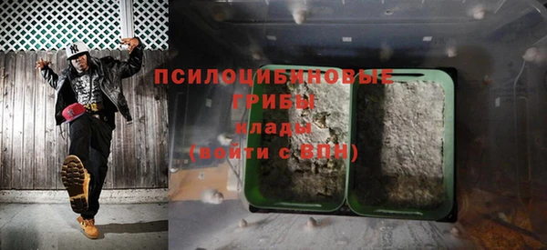 стаф Абаза